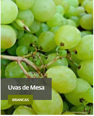 Videiras Isa